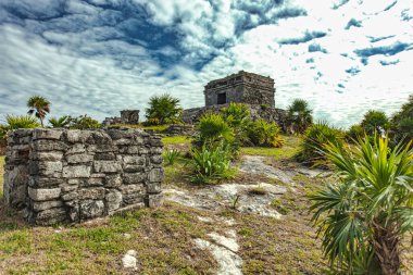 Tulum, Meksika 'daki antik Maya harabelerinin manzarası sitenin tarihsel önemini ve doğal güzelliğini gözler önüne seriyor.
