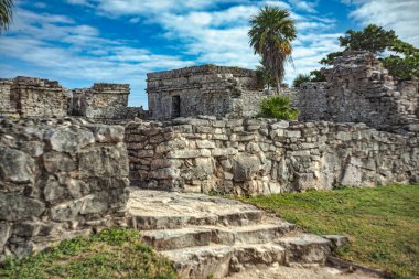 Tulum arkeoloji sahasındaki antik Maya harabelerine giden taş basamaklar yıpranmış taş duvarlar, yemyeşil bitki örtüsü ve canlı mavi bir gökyüzü sergileniyor.