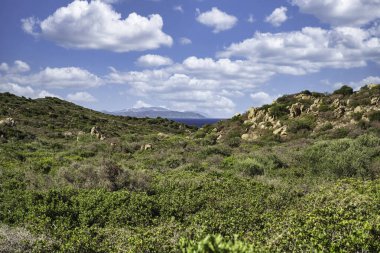 Capo Ferrato 'nun canlı Akdeniz bitki örtüsünü ve kayalık arazisini Tyrhenian Denizi' ni bir anlığına gösteren manzara.