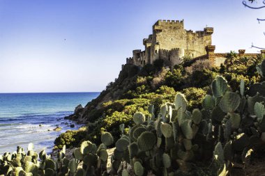Castello di Falconara kıyısında yetişen dikenli armut kaktüsü. Sicilya, İtalya 'da iyon denizine bakan tarihi bir kale.