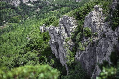 Etkileyici kireçtaşı kayalıkları yemyeşil bir vadiye hakim, İtalya 'nın Stiddiosa kentindeki sardalya manzarasının vahşi güzelliğini gözler önüne seriyor.
