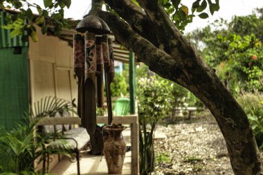 Cueva de Chico, Dominik Cumhuriyeti 'ndeki huzurlu bir bahçedeki ağaçtan sarkan pembe ve yeşil kertenkele süslemeli bambu rüzgar çanı.