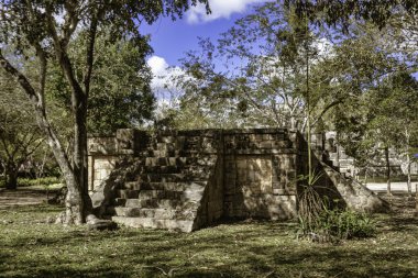 Maya uygarlığının taş kalıntıları güneş ışığıyla yıkandı. Ağaçların ve bitkilerin arasında Chichen Itza, Meksika 'da.