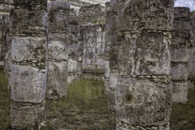 Antik Maya sütunları, Chichen Itza 'nın yıkıntıları arasında dikiliyor, karmaşık taş işçiliği sergiliyor ve kayıp bir medeniyete bir göz atıyor.