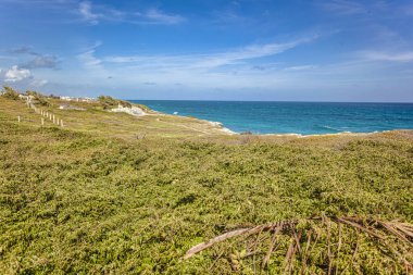 Isla Mujeres, Meksika 'nın kıyı şeridi manzaralı, parlak mavi gökyüzünün altında yemyeşil bitki örtüsü ve turkuaz suları var.