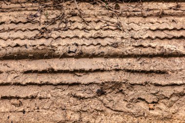 Çamurlu bir yüzeyde belirgin lastik izleri var. Islak topraktaki lastik izlerinin deseni ve dokusunu gösteriyor.