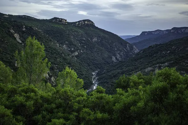 Sardunya, İtalya 'da sardalya kanyonu boyunca akan dolambaçlı bir nehri çevreleyen yemyeşil bitki örtüsü bulutlu bir gökyüzünün altında pitoresk bir manzara yaratır.