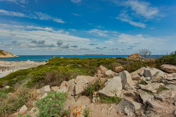 Bereketli Akdeniz bitki örtüsü turkuaz suları ve kötü adam, sardunya ve İtalya 'daki punta molentis sahillerinin çarpıcı bir manzarasına sahiptir.