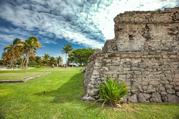 Tulum, Meksika 'daki antik Maya harabelerini keşfeden turistler, arka planda güzel mavi bir gökyüzü ve palmiye ağaçları bulunuyor.