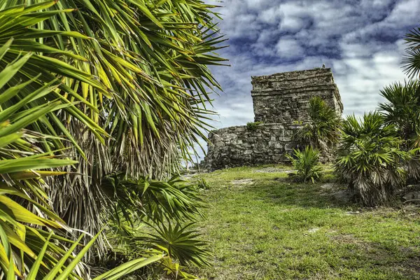 Tulum, Meksika 'daki eski Maya kalıntılarını çevreleyen bereketli bitki örtüsü, tarihe şöyle bir göz atmamızı sağlıyor: