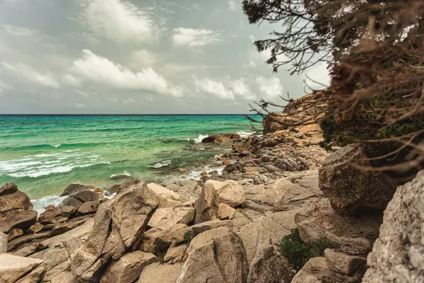 Sardunya, İtalya 'da Monte Turnu' nun kayalık sahil şeridine çarpan turkuaz dalgalar bulutlu bir gökyüzünün altında dramatik bir deniz manzarası yaratır.