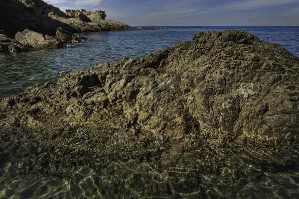 Güneş ışığı, İtalya 'nın sardunya kentindeki Cala sa figüsünün kristal berrak suyundan çıkan deniz tabanını aydınlatır ve nefes kesici bir deniz manzarası yaratır.
