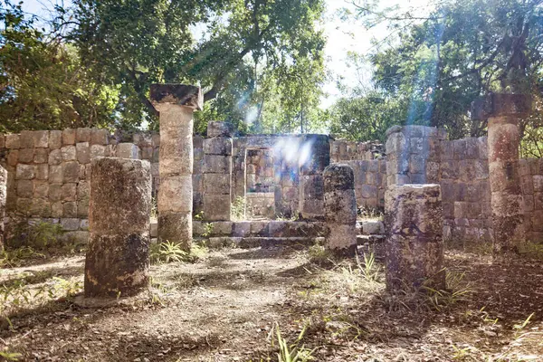 Güneş ışığı ağaçların arasından süzülüyor, antik Maya harabelerini ve sütunlarını aydınlatıyor, bir unesco dünya mirası alanı olan chichen itza 'da.