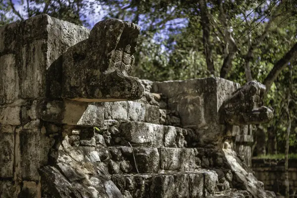 İki yılanbaşı, güçlü bir medeniyetin kalıntıları olan Chichen itza arkeolojik alanındaki yıkılan bir Maya tapınağından çıkmıştır.