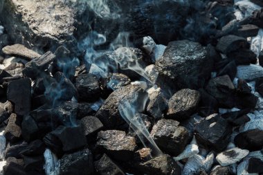 Ormanda bir kömür yığını