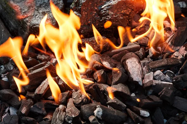 Ateşli Şenlik Ateşi Ormanda Şenlik Ateşi — Stok fotoğraf