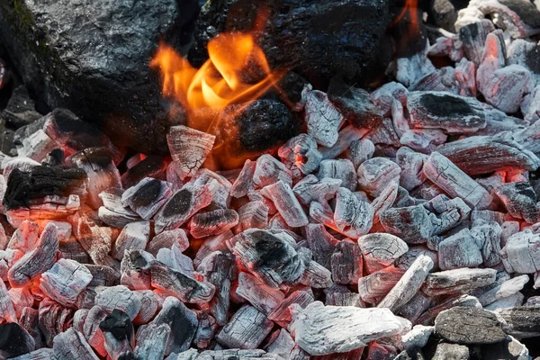 Fire Coals Coals — Stock Photo, Image