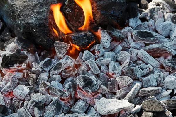 Fire Coals Nature — Stock Photo, Image