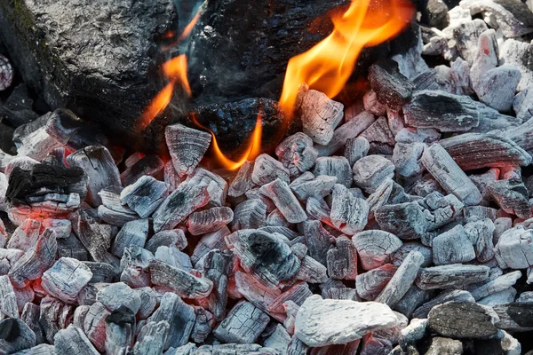 Burning Charcoal Fire — Stock Photo, Image