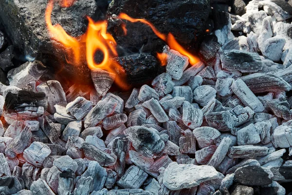 Burning Coals Coals — Stock Photo, Image