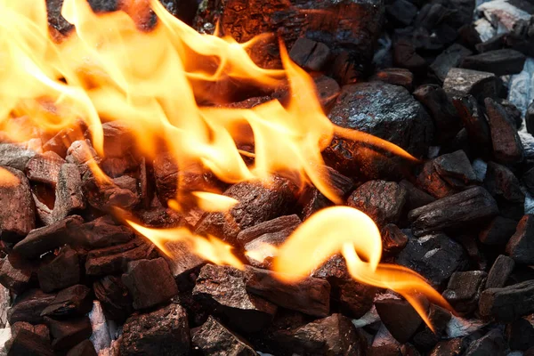 Ormanda Yanan Kömür Ateşin Közleri — Stok fotoğraf