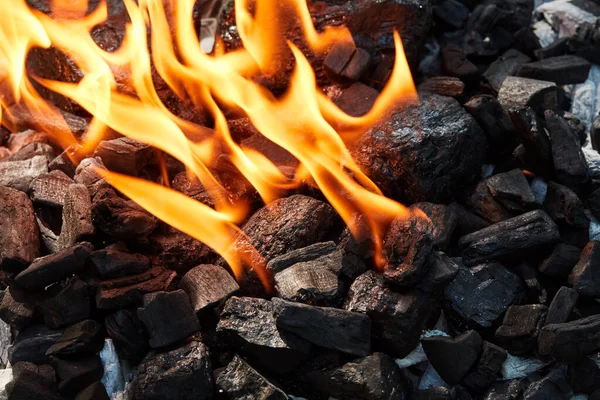 Charbon Bois Brûlant Dans Gril Gros Plan — Photo