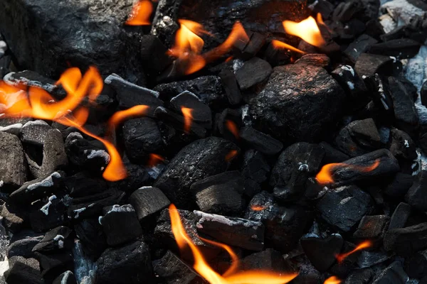 Brûler Charbon Dans Forêt — Photo