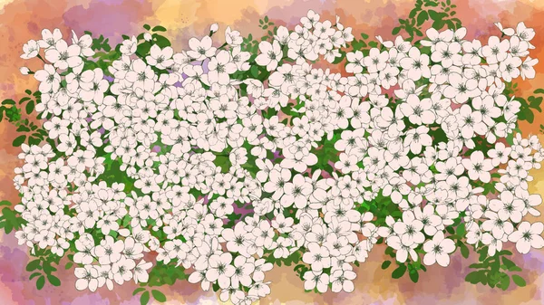 Bouquet Dessiné Main Fleurs Cerisier Feuilles Vertes Sur Fond Aquarelle — Image vectorielle