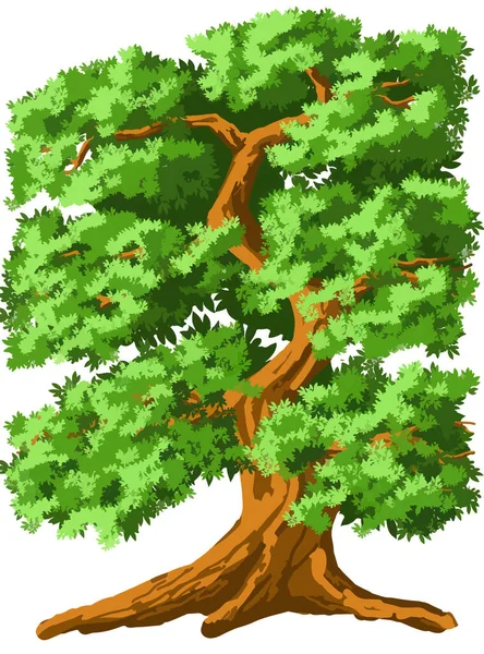 Summer Green Tree Cartoon Style Transparent Background Hand Drawn Vector — Stock Vector
