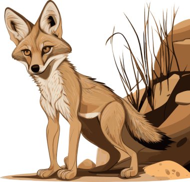 Sıcak ahtapot renklerinde çöl arka planında el çizimi bir çakal.