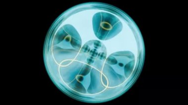 Anormallik. İnanılmaz ışık efektli fantastik bir ışık küresi. Sihirli Parlama