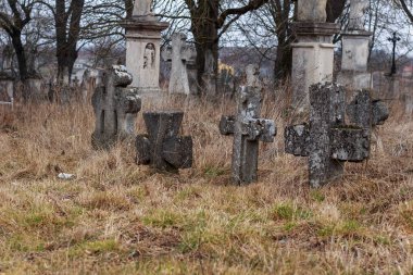 Old abandoned Polish cemetery of the 19th and early 20th centuries in Zbarazh, Ternopil region clipart