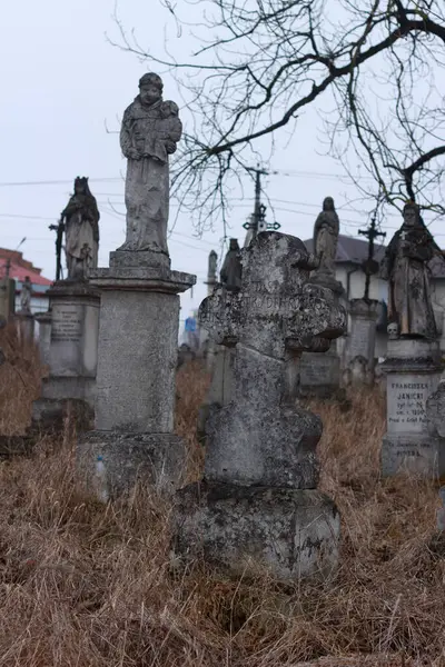 Ternopil bölgesindeki Zbarazh 'da 19. ve 20. yüzyılın başlarında terk edilmiş eski Polonya mezarlığı.