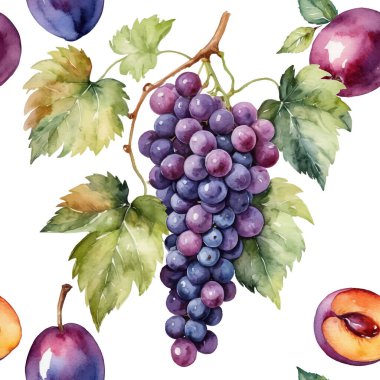 Elle boyanmış suluboya, mor üzümler, olgun erikler bütün ve yarı yarıya, ve beyaz arka planda yeşil yapraklar. Sonbahar hasat karışımı.