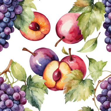 Elle boyanmış suluboya mor üzümler, olgun erikler bütün ve yarı yarıya, ve beyaz arka planda yeşil yapraklar. Yaz meyve hasadı.