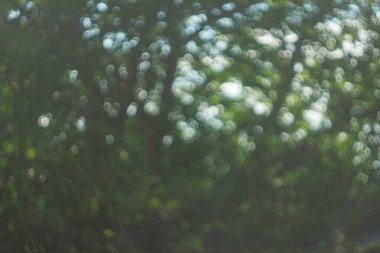  Soyut altın ve beyaz bokeh koyu arkaplanda daireler çizerek rüya gibi ve zarif bir bulanık efekt yaratır..