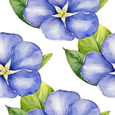 Detaylı merkezleri, canlı yeşil yaprakları ve şeffaf arka planda tomurcukları olan elle boyanmış mor renkli suluboya çiçekleri içeren zarif, pürüzsüz bir desen. Bitki tasarımı.