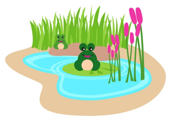 Kiddies Cartoon Illustration Frogs Pond Vector Illustration — Stock Vector