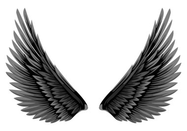Simple flat vector illustration of black and white wings isolated on white