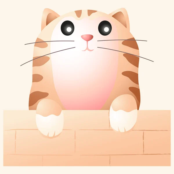 图片说明一只可爱的猫从墙后窥探 卡瓦伊 — 图库矢量图片