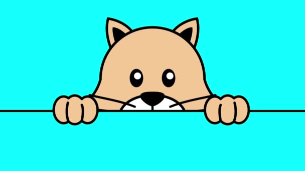 Funny Cartoon Cat Peeking Wall Motion Graphics — Stock video