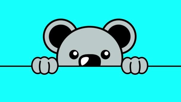 Grappige Cartoon Van Een Koala Gluuren Van Achter Muur Motion — Stockvideo