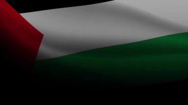 Filistin bayrağı rüzgarda, siyah bir arka planda. Vatansever, kültürel ve etkinlik teması için mükemmel. Gurur ve dayanışmayı temsil eder, hareket grafikleri