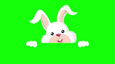Sevimli bir tavşanın duvarın arkasından gizlice bakmasının animasyonu.
