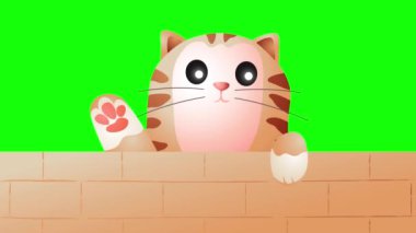 Yeşil ekran hareket grafikleri duvarın arkasından bakan ve şakacı bir şekilde el sallayan sevimli bir kedinin