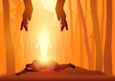 İncil 'deki illüstrasyon dizisi, Yaradılış' ın ikinci bölümü, Havva, Adem 'in kaburgasından onu alarak Tanrı tarafından yaratıldı.