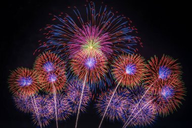 Colorful fireworks are on dark blue background. Concept of aesthetic and entertainment  clipart
