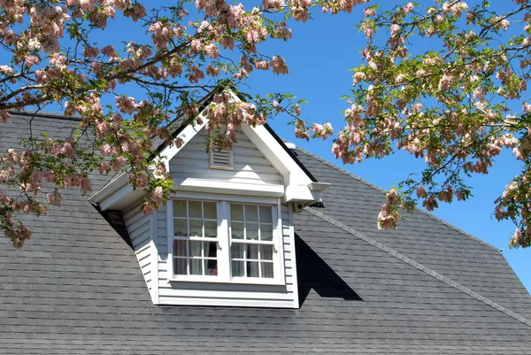 屋根にドーマー付きの家は澄んだ青い空の下に立ち 木の枝がシーンを縁取り 自然の美しさと色の感触を加えます — ストック写真