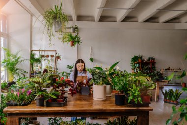 Genel plan çiçek dükkanı. Turuncu tulumlu kadın bahçıvan, beyaz sulama tenekesi kullanarak bitki ve saksılarla çevrili serada saksı bitkilerini suluyor. Yakın çekim.