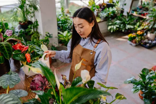 亚洲年轻女子喷洒蕨类 在室内给植物施肥 开新的花店启动概念 — 图库照片